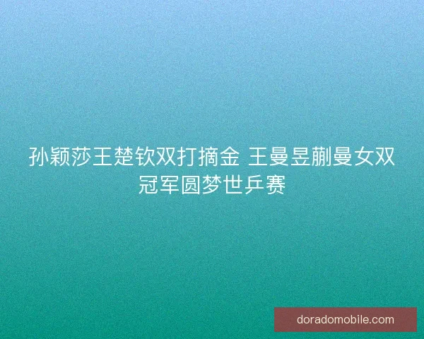 孙颖莎王楚钦双打摘金 王曼昱蒯曼女双冠军圆梦世乒赛